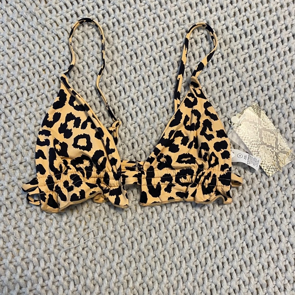 Toluca Swim